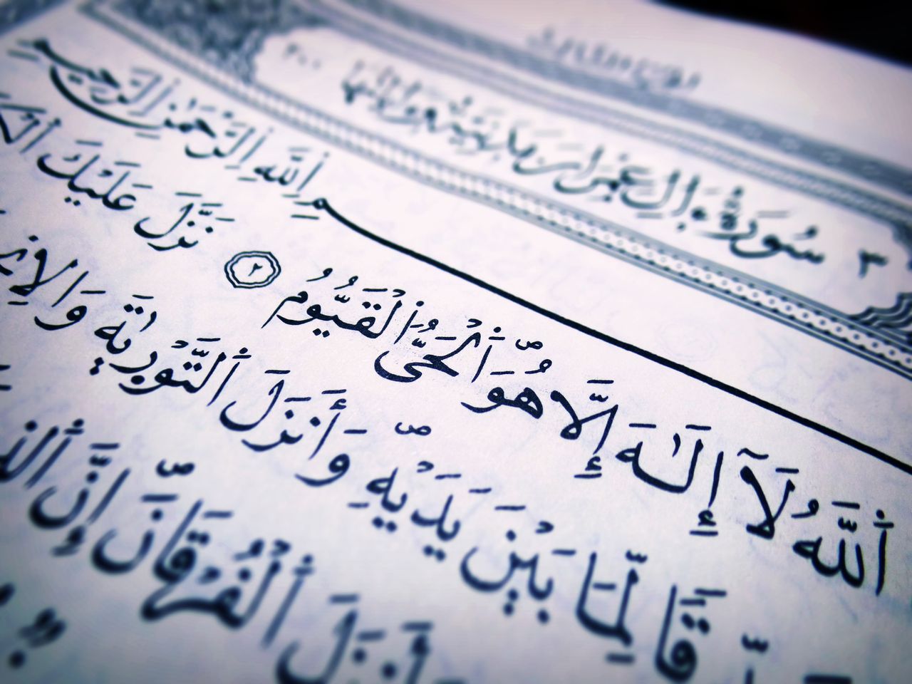 about-us-01 Detailed close-up of Arabic script from a Quran page, highlighting religious text and calligraphy.